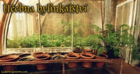 uc_bylinkarstvi04.jpg